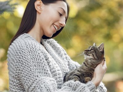 Bukan Sekedar Lucu! Ini Manfaat Memelihara Kucing Menurut Penelitian Ilmiah
