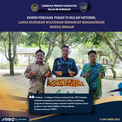 Lapas Nunukan Lakukan Panen Tomat Hasil Cocok Tanam WBP