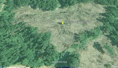 Aktivis Apel Gren Aceh Temukan 51 Hektar Hutan Lindung Aceh Barat Rusak Akibat Penebangan Kayu