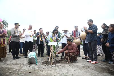 Sleman Terima 15 Ribu Bibit Kelapa Genjah Pandan Wangi dari Kementan RI