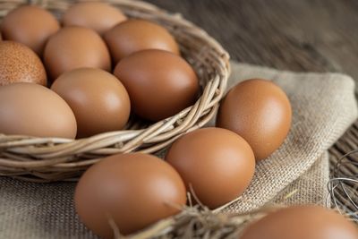 Mengenal Pemasok Telur yang Berdedikasi: Menghidupkan UMKM dengan Produk Berkualitas