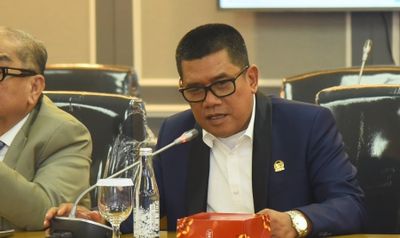 Salah Tangkap di Udara! Ketua NasDem Sumut Diturunkan Paksa, DPR RI Angkat Suara