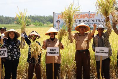 Pemkab Purworejo Dorong Petani Beralih ke Pertanian Modern