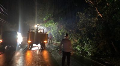 Hujan Deras Bikin Pohon Tumbang, Polisi dan Warga Kompak Buka Akses Jalan Lagi