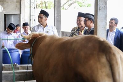 Keberadaan RPH Halal di Semarang Beri Manfaat Bagi Masyarakat dan Pelaku UMKM