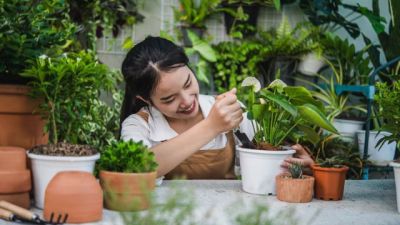 Mengatasi Stres dengan Aktivitas Santai: Meditasi, Berkebun, dan Membaca Buku