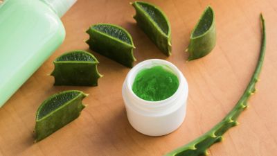 Manfaat Aloe Vera untuk Perawatan Kulit dan Rambut