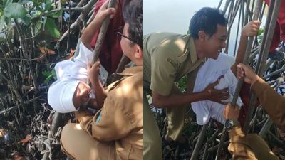 Viral di TikTok, Guru SD Jadi Basarnas Saat Muridnya Terjepit Ranting Pohon