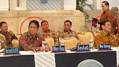 Relasi Harmonis di Balik Perbedaan Pendapat Purbaya dan Luhut