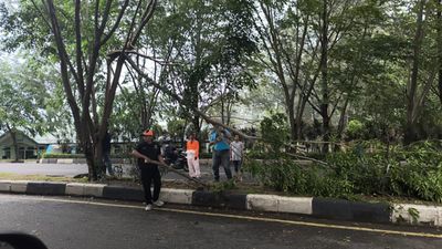 Cuaca Ekstrem Melanda Banda Aceh, Warga Diminta Hindari Aktivitas di Luar Rumah!