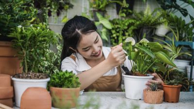 Menemukan Passion di Tengah Kesibukan: Strategi untuk Menggali Minat yang Tersembunyi