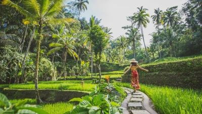 Menemukan Kedamaian di Tengah Keindahan Alam Indonesia