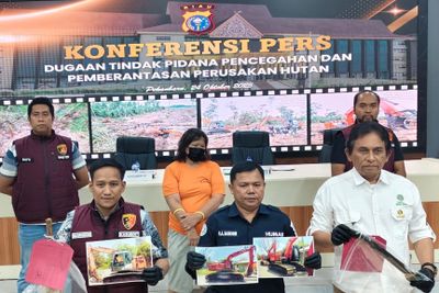 Perambahan Hutan Bengkalis Terbongkar, Polda Riau Tangkap IRT yang Kuasai 13 Hektare Lahan Konservasi