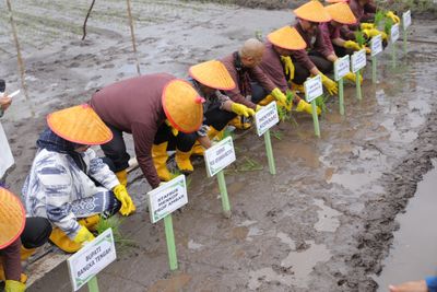 Menkop RI Apresiasi Inisiasi Penghijauan dan Swasembada Pangan Gubernur Hidayat, Kembalikan Lahan Kembali Hijau