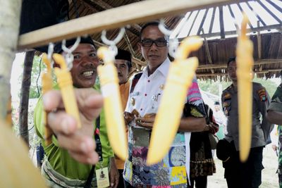 Festival Batu Mentas dan Peringatan Hari Jadi ke 172, Bupati Berharap Badau Jadi Wajah Wisata Alami di Belitung