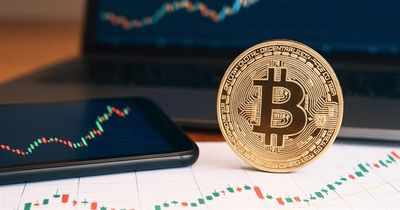 Baru Mau Coba Trading Bitcoin? Ikuti 3 Rahasia Ini Biar Cepat Cuan!
