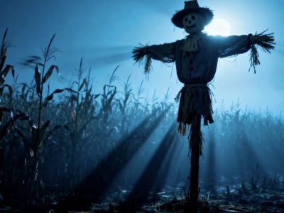 Kisah Mistis Sesaji Panen: Sawah, Santet, dan Rahasia Salah Satu Desa Misteri di Jawa Tengah