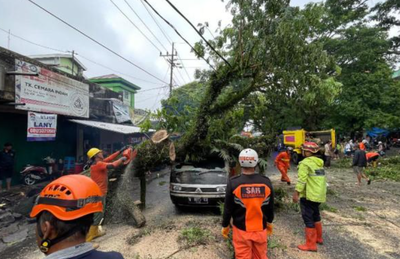 Pohon Tumbang di Comboran, DPRD Kota Malang: Infrastruktur Perlu Diperkuat