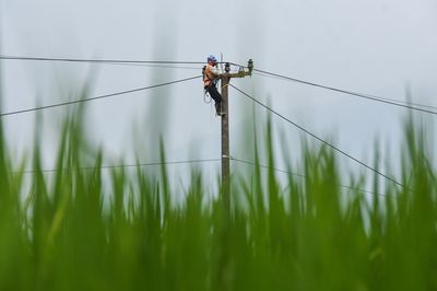 Rasio Elektrifikasi 99,83 Persen Dinilai Jadi Bukti Komitmen Pemerintah Wujudkan Keadilan Energi