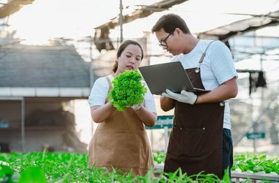 5 Peluang dan Cara Memulai Usaha Pertanian yang Menjanjikan di Era Modern