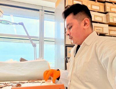 Alasan Mahasiswa Doktor UGM Teliti Tanaman Pala di Belanda