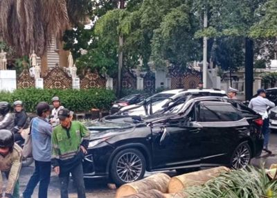 Pengemudi Lexus Tewas Tertimpa Pohon di Pondok Indah saat Hujan Deras