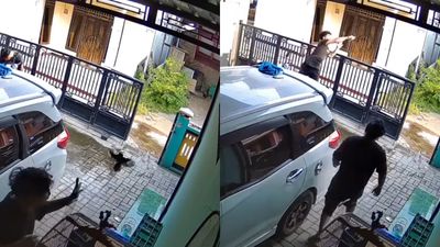 Refleks Sekelas Kiper! Pria Ini Tangkap Burung yang Hampir Kabur
