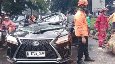 Kecelakaan Tragis di Pondok Indah: Pengemudi Tewas Tertimpa Pohon Tumbang