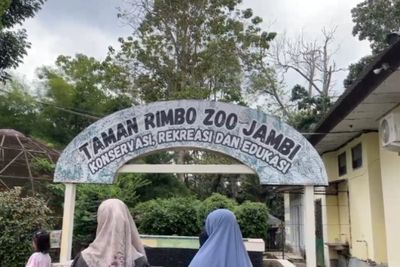 Target PAD Taman Rimba Jambi Capai Rp2 Miliar, Kehadiran Harimau dan Singa Putih Jadi Daya Tarik Baru