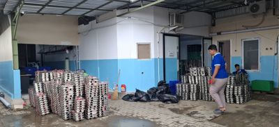 DPRD DIY Desak Pemerintah Prioritaskan Guru Honorer Ketimbang Pengangkatan Pegawai MBG Jadi PPPK, Sebut Guru Masih Banyak yang Ngojol
