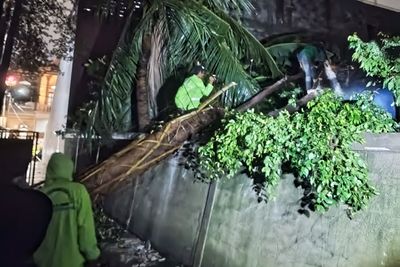 Sudin Tamhut Jakut Siagakan Personel 24 Jam Hadapi Cuaca Ekstrem