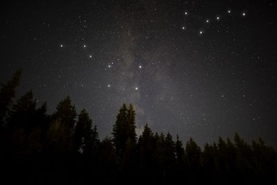5 Arti Mimpi Melihat Banyak Bintang di Langit Menurut Primbon Jawa