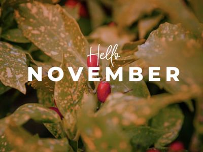 17 Caption Singkat tentang November yang Bikin Feed Makin Hangat dan Estetik