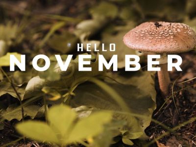 17 Ucapan Singkat Selamat Datang November: Bulan Baru, Harapan Baru, Cerita Baru
