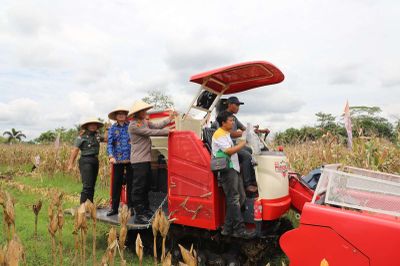 Panen Raya Jagung di Kalimiru: Wabup Dion Apresiasi Semangat dan Inovasi Petani Purworejo