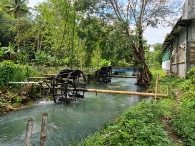 Hidupkan Pertanian Tanpa Listrik, Warga Bondowoso Manfaatkan Kincir Air Bambu Tradisional