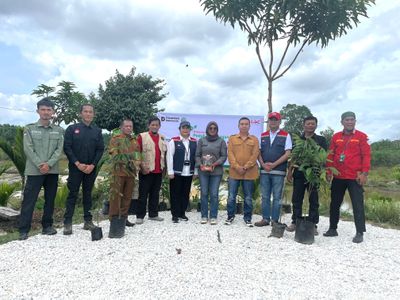 Dari Mandau untuk Alam: RSF Terus Rawat Konservasi Gajah Bersama Hutama Karya