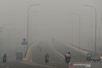 4 Tips Berkendara Aman di Tengah Kabut Tebal, agar Terhindar dari Kecelakaan