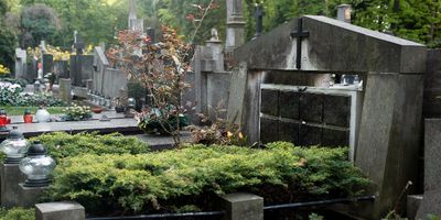 Bocah 6 Tahun Asal Tombuluan, Dilaporkan Menghilang di Perkuburan