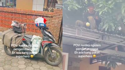 Momen Lucu Kurir Paket Bantuin Ibu-Ibu yang Lagi Ngidam Metik Mangga di Atap Rumahnya