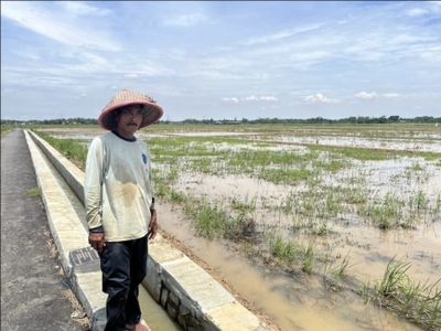 Air Mengalir hingga Desa Sebelah: Irigasi Baru Bawa Harapan bagi Petani Pekalongan