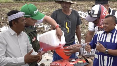 Inovasi BobiBoss: Manfaatkan Limbah Pertanian Jadi Sumber Energi Alternatif di Subang