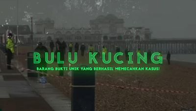 Barang Bukti Aneh yang Ternyata Bisa Pecahkan Kasus Kriminal!