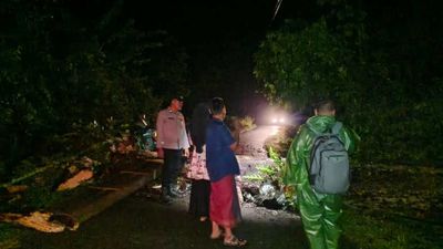 Cuaca Ekstrem di Aceh Barat: Pohon Tumbang Putus Listrik, Polisi Gerak Cepat!