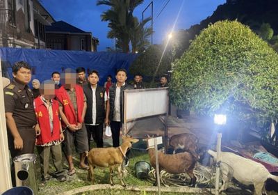 Polres Aceh Selatan Serahkan 5 Tersangka Pencurian Ternak ke Kejaksaan