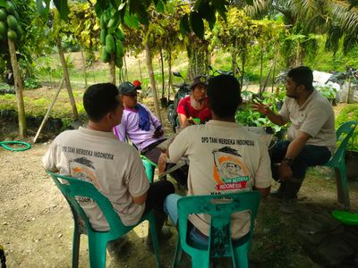 Produktivitas Sawah Rendah? Tani Merdeka Aceh Tamiang Turun Tangan Bareng Bio Energy Rimba