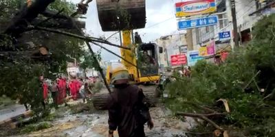 Pohon Puluhan Tahun di Bahu, Malalayang. Jatuh, dan Menimpa Jalanan!
