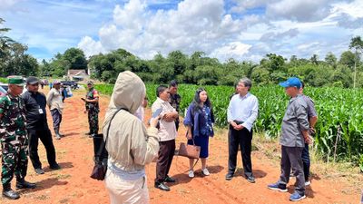 Perkebunan Jagung Binaan Kapolres Serang Dikunjungi Delegasi Tiongkok