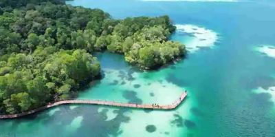 Danau Ubur-ubur Makin Cantik! Jalur Boardwalk Kakaban Kini Mencapai 600 Meter
