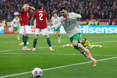 Profil Troy Parrott: Sempat Dibuang Tottenham Hotspur, Kini Jadi Pahlawan Bagi Irlandia